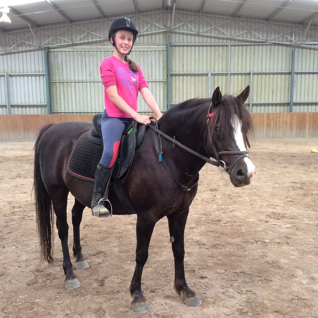 Melbourne Indoor Equestrian Centre