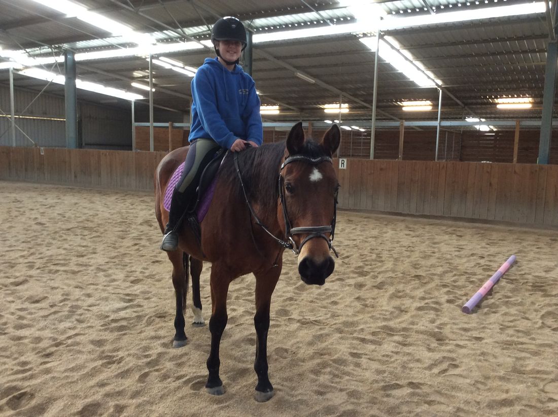 Melbourne Indoor Equestrian Centre